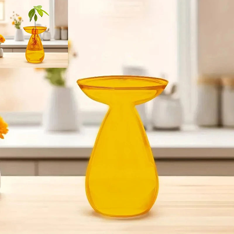 Glass Avocado Hydroponic Vase Seed Starter Kit For Plants